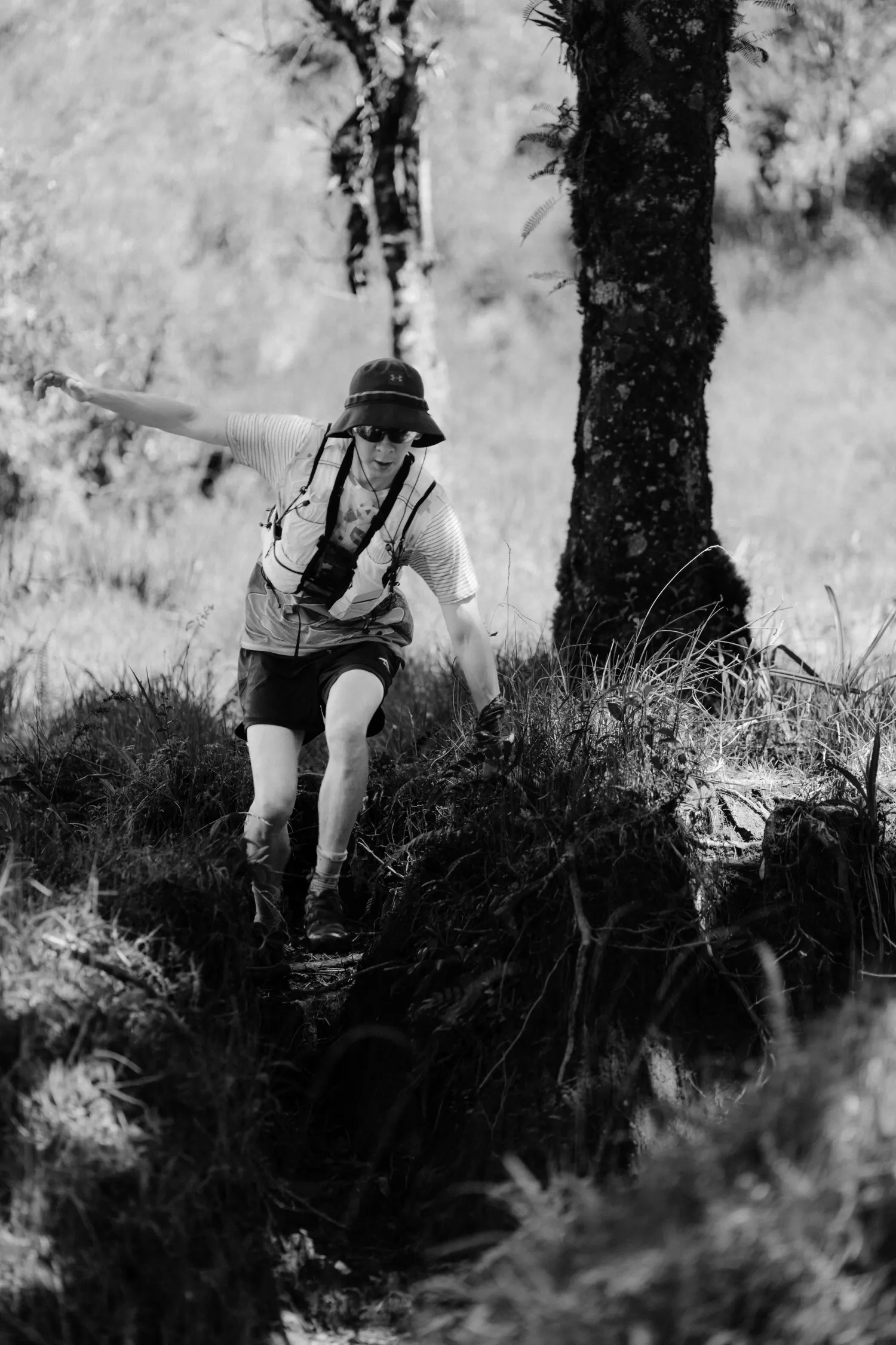Galería Intag Trail 17